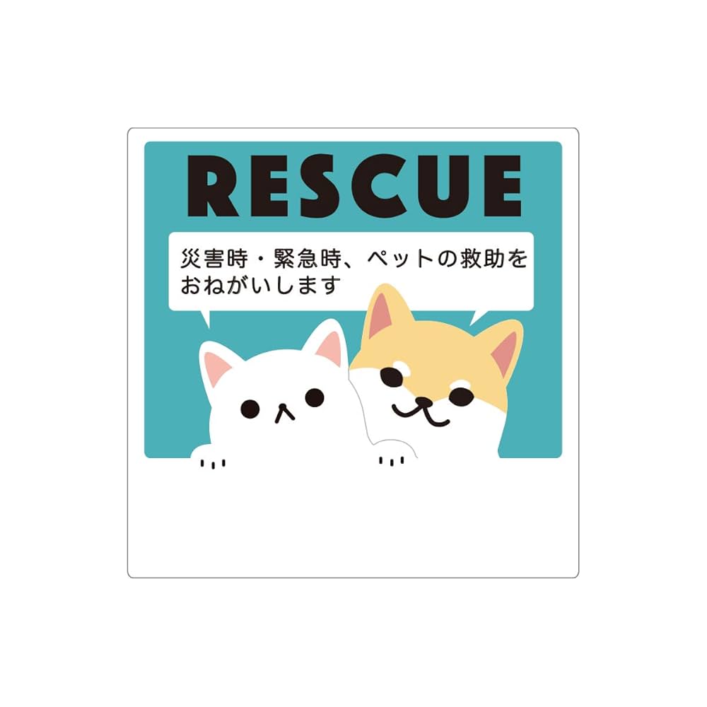 ねこさんページ MARCO 🟡写真集「メイ先輩」🟡 (@marco74444) / X